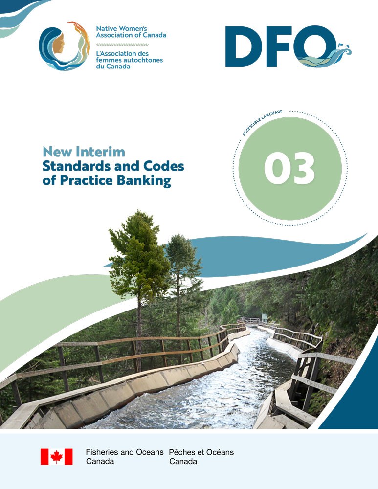 New Interim Standards and Codes of Practice Banking