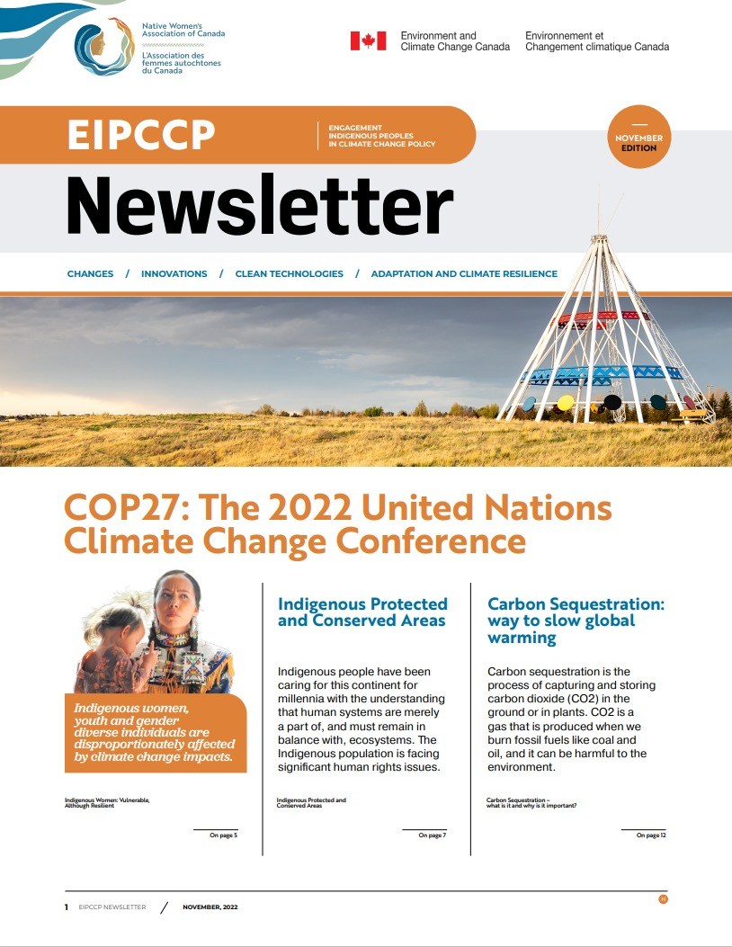 November Edition: COP27: The 2022 Climate Change Convention