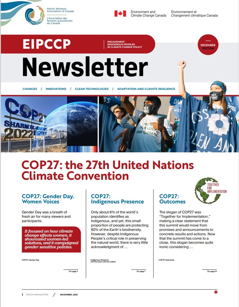 December Edition: COP27: the 27th United Nations Climate Convention