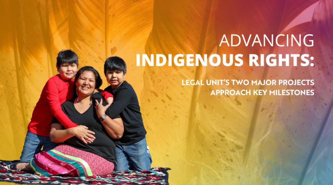 STS ISSUE15 INDIGENOUS RIGHTS