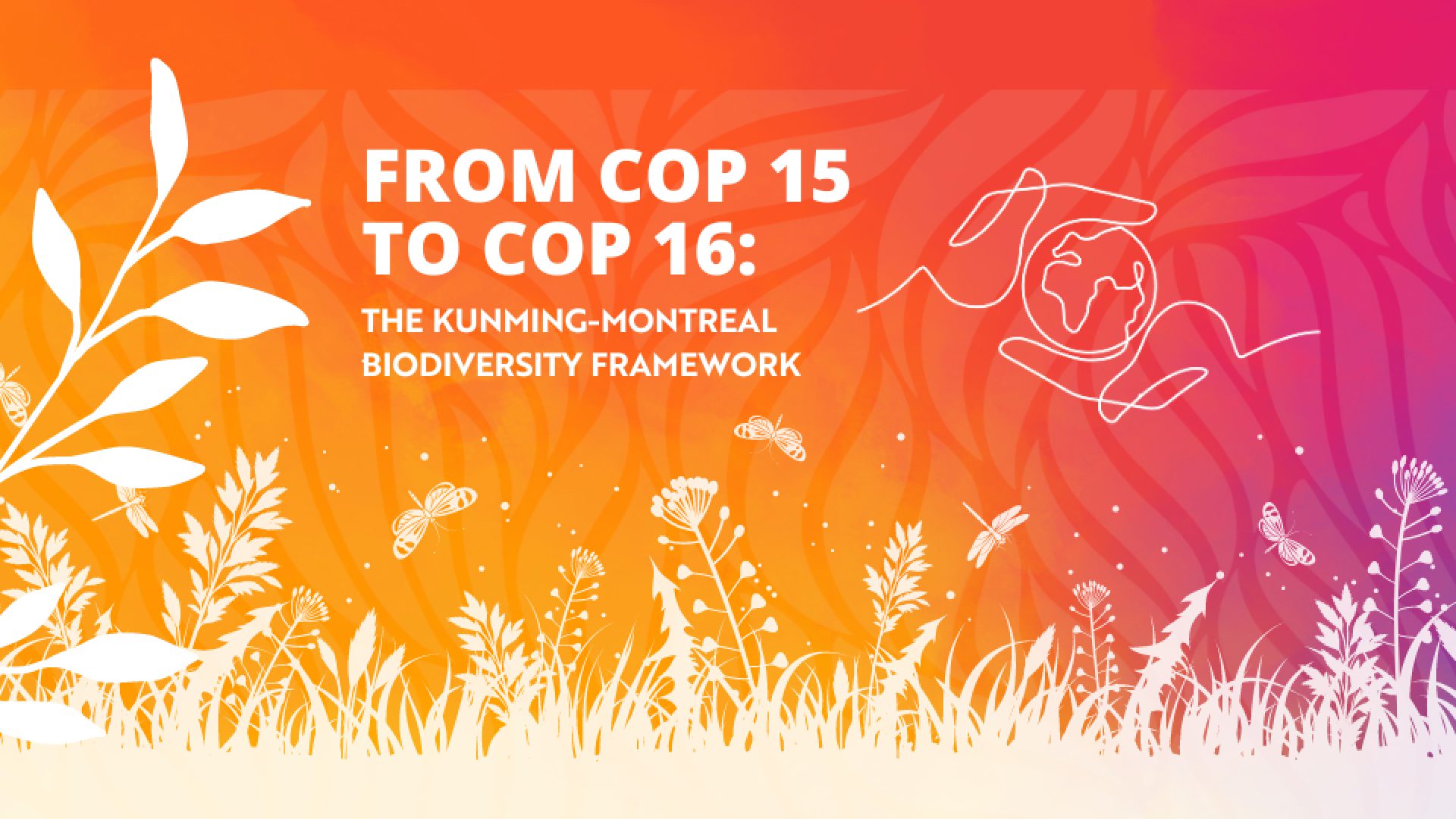 From COP 15 To COP 16: The Kunming-Montreal Biodiversity Framework ...