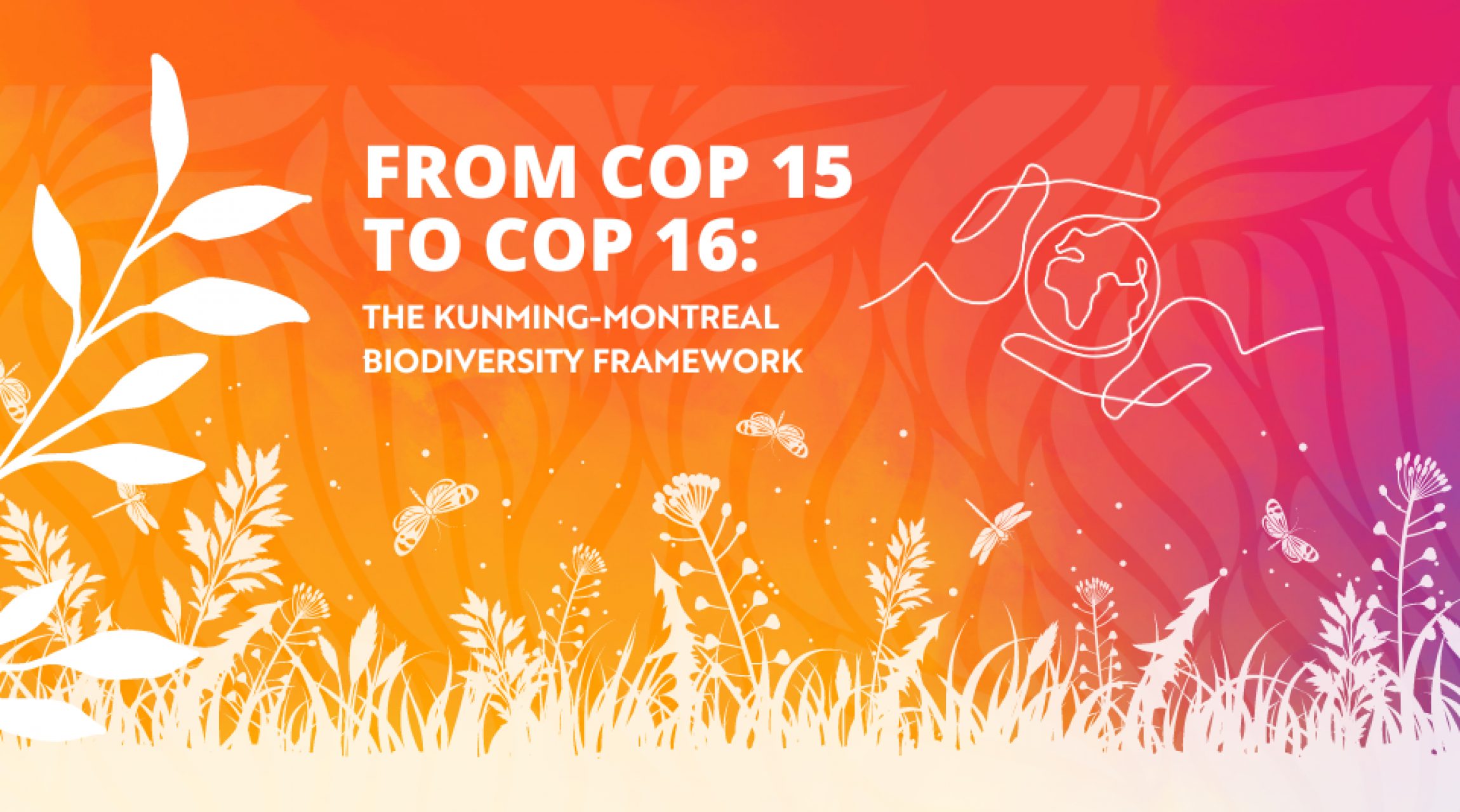 From COP 15 To COP 16: The Kunming-Montreal Biodiversity Framework ...