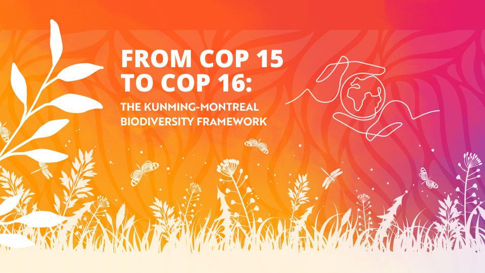 STS ISSUE15 COP15 16 1