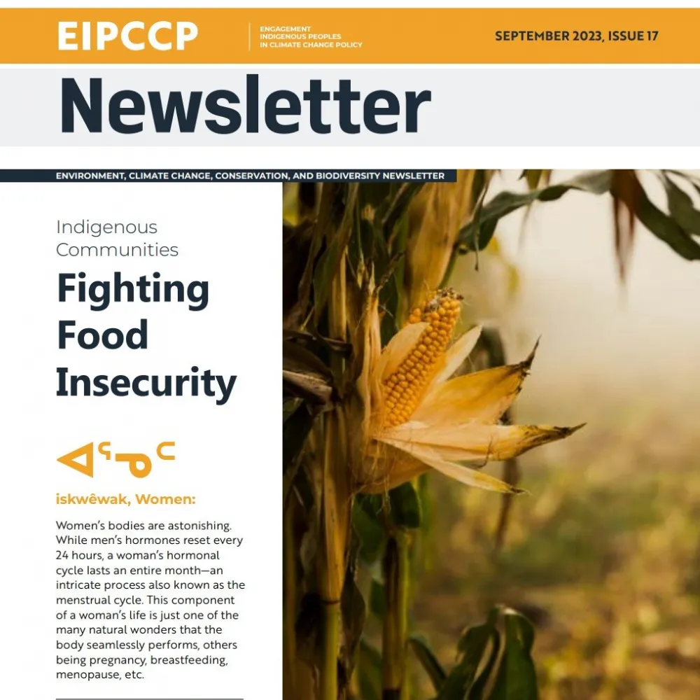 EIPCCP Newsletters